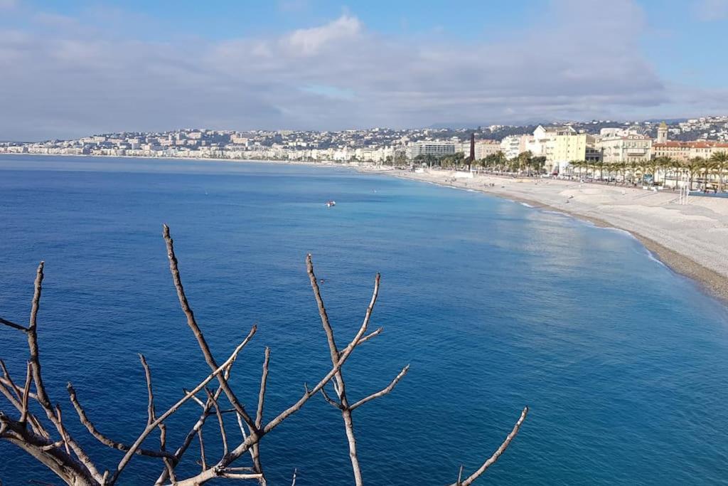 Studette En Plein Coeur Du Vieux Nice Bagian luar foto